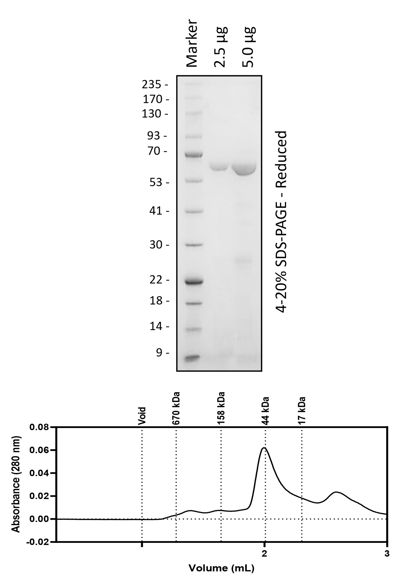 WRN (517-1093)