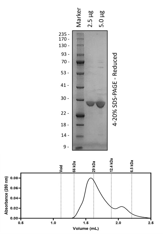 6H-RPL-(K273D-Q259K-L266K)