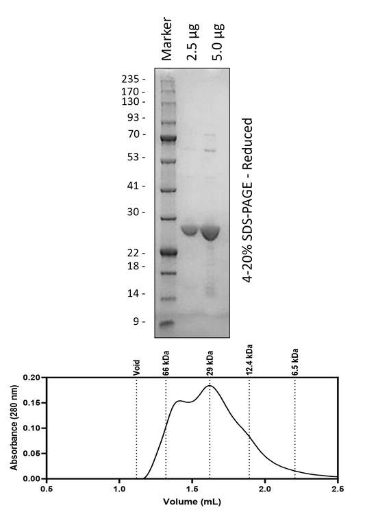6H-RPL-(M270F-D126S-Q259F)