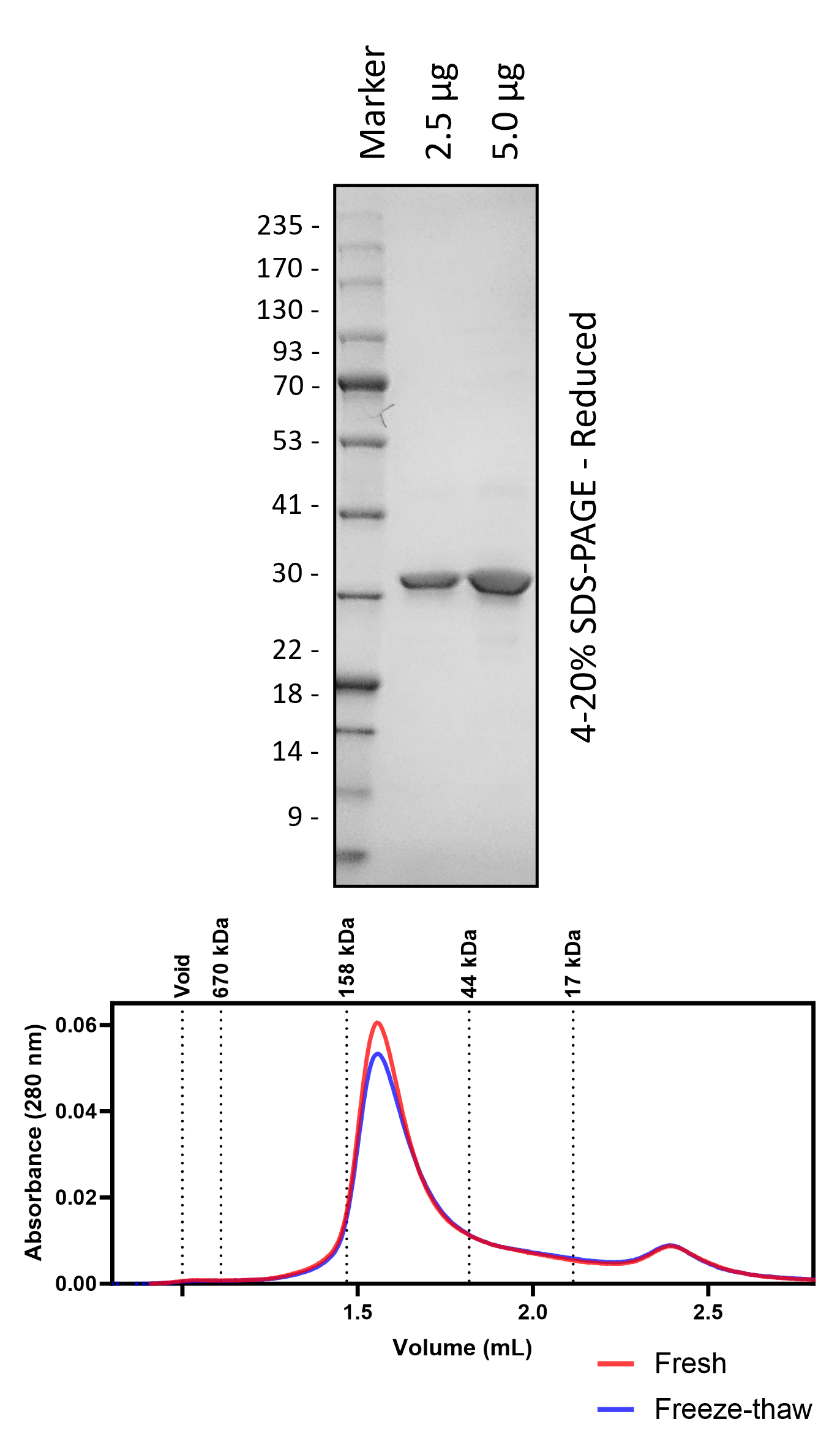 Human 14-3-3e (3C Cleaved)