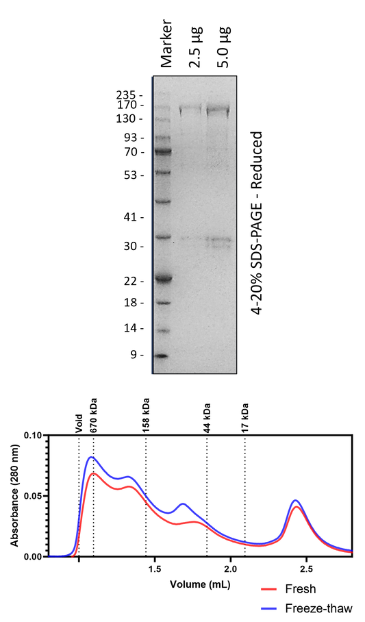 POL2 (1-1187)