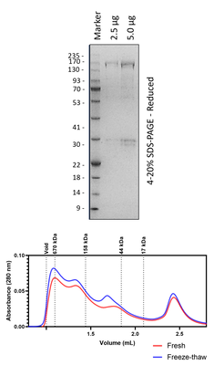 POL2 (1-1187)
