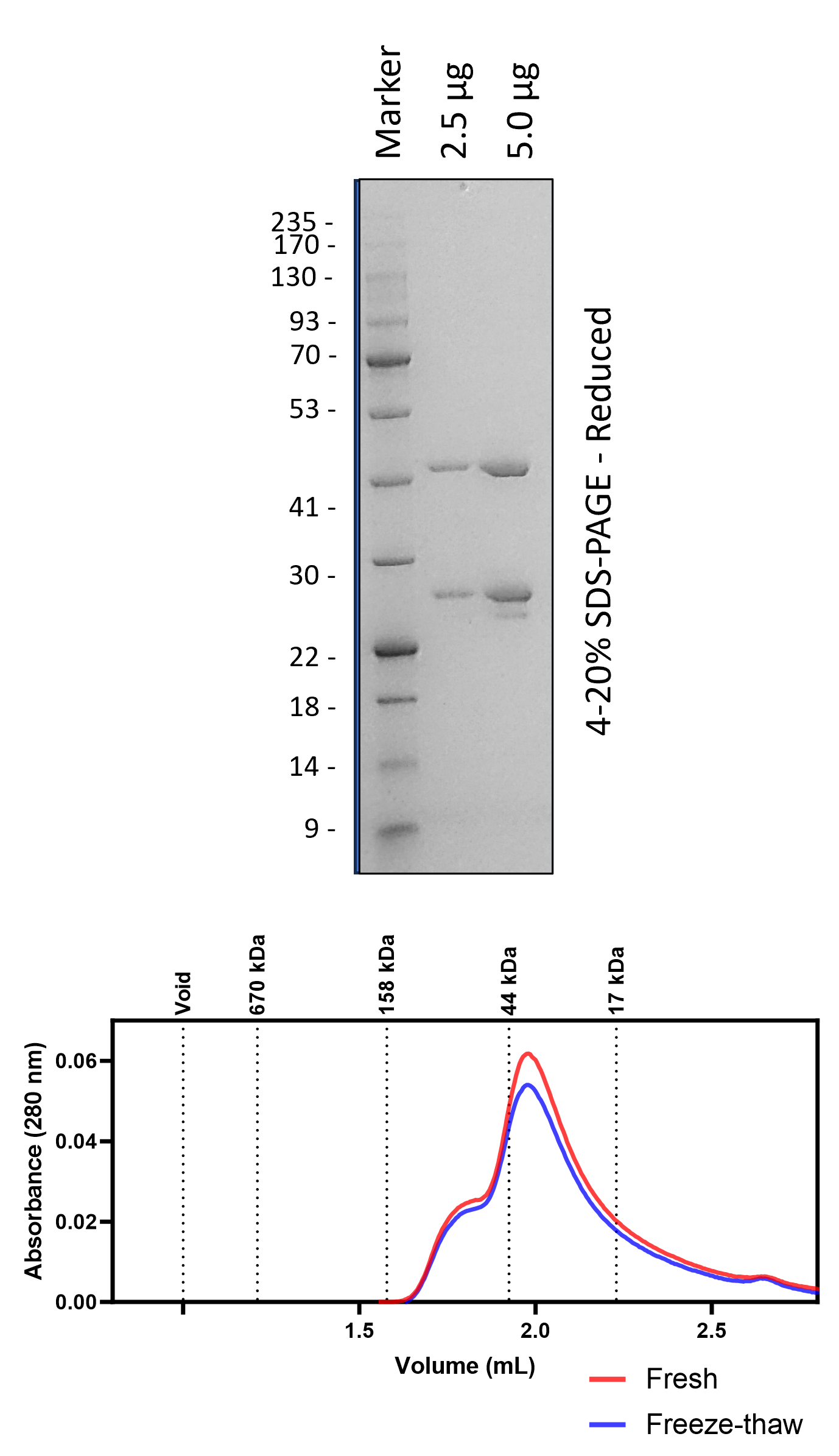 JCV (264-628)