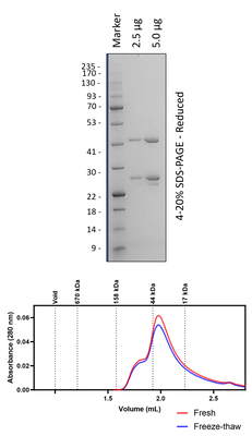 JCV (264-628)