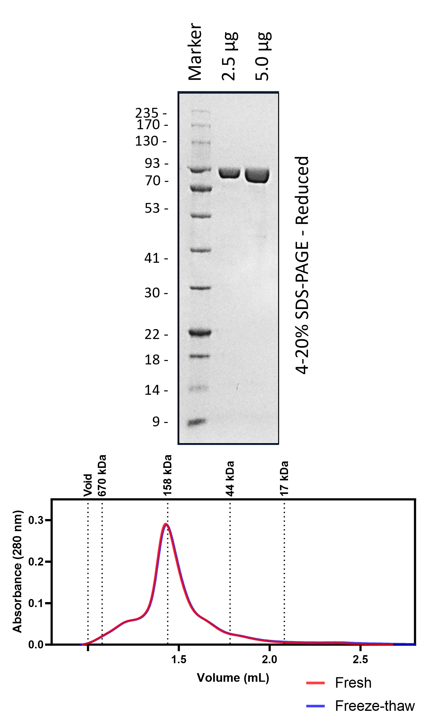 Tbrockii TPR448S