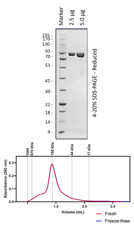 Tbrockii TPR448S