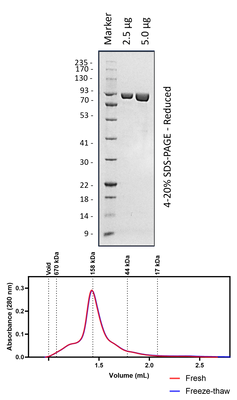 Tbrockii TPR448S