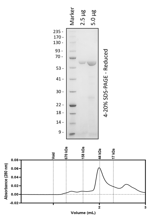 WRN (517-1093)